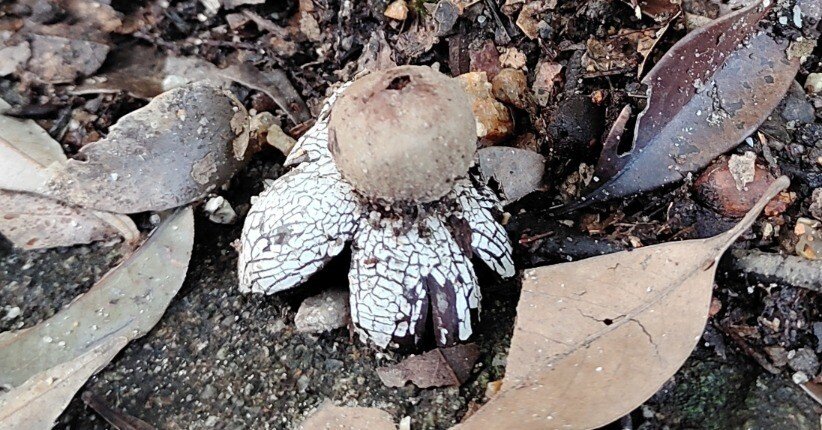 322b2b3d7f8d7c676cd43010ea652f