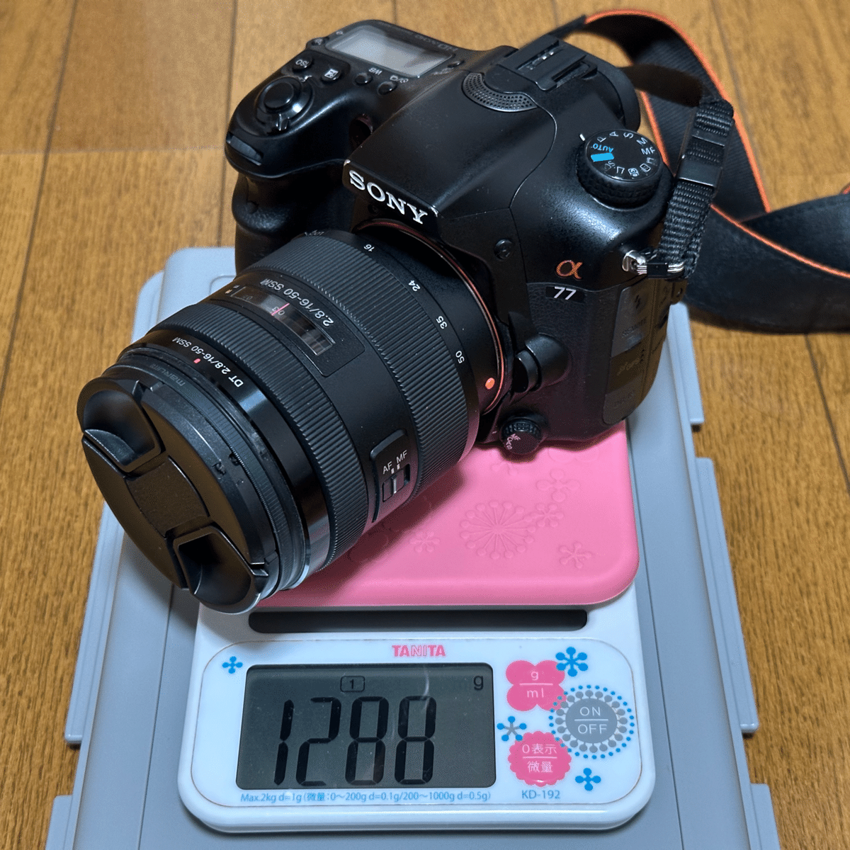 新しい相棒と一緒に。｜いぶりくりーむ