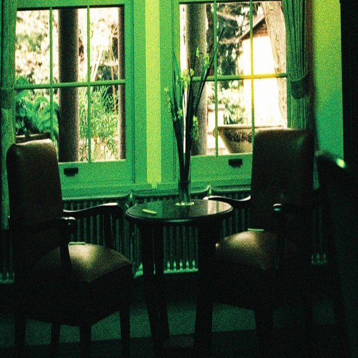 多分仲良くなれないネガフィルム PHOENIX200 紹介！｜Yoshimin