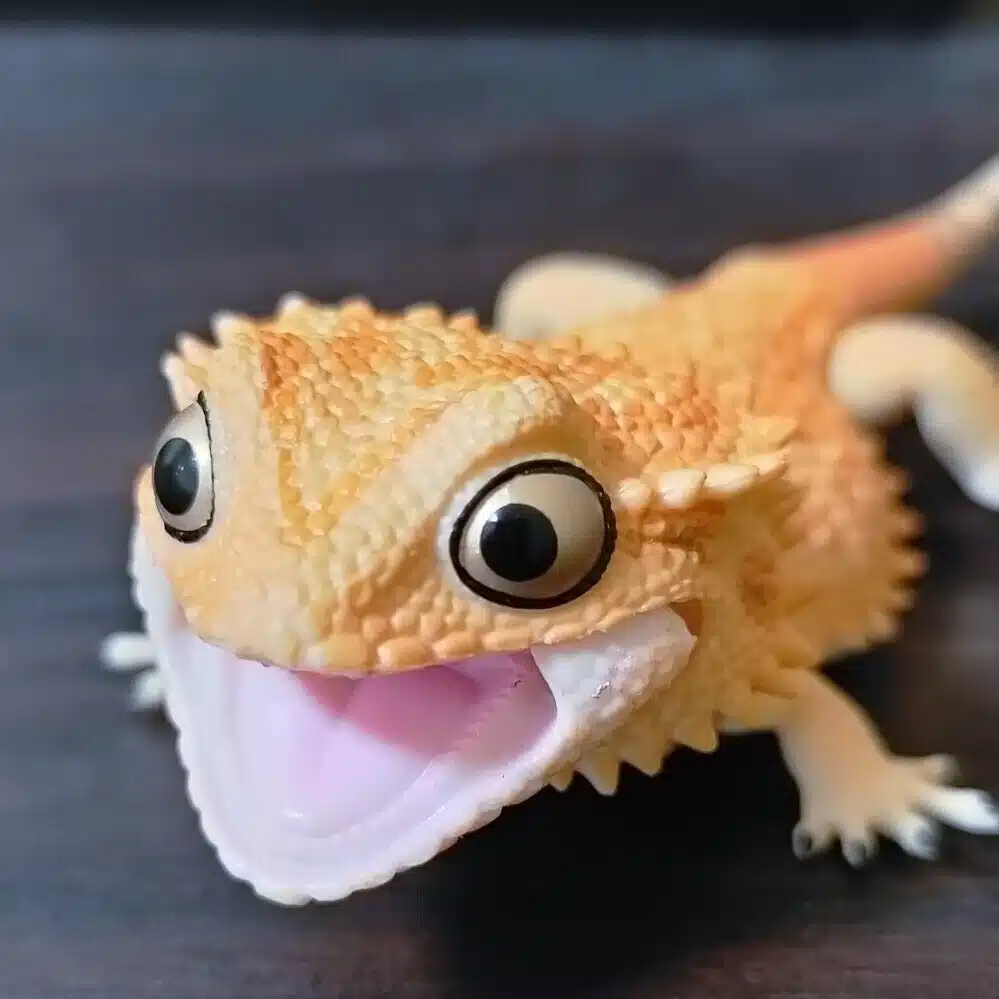 朝海