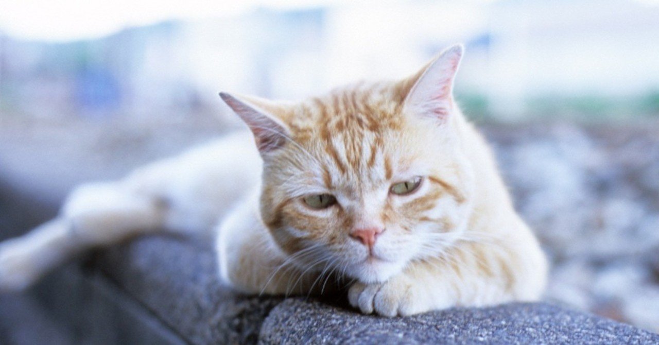 Noteはじめました Nori Note