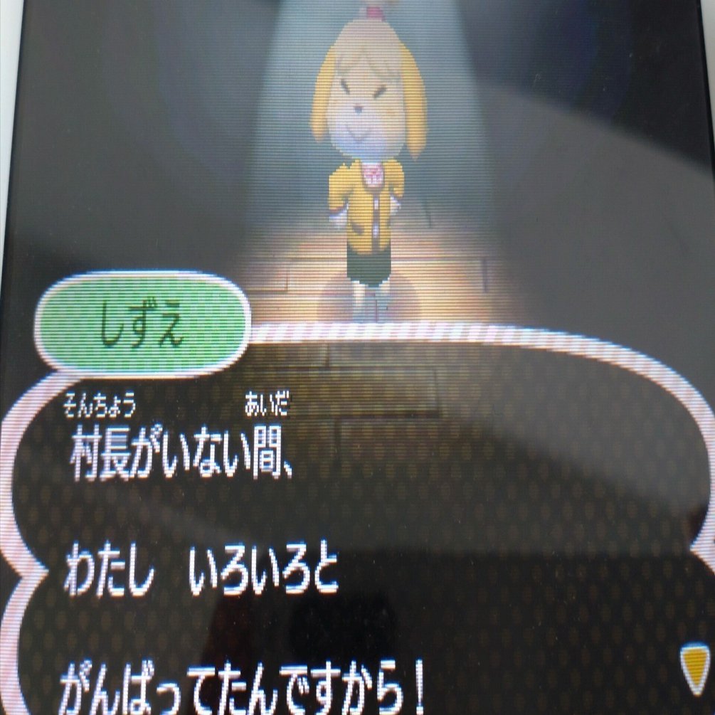 3DSどう森値下げできます！ 5102057-01.jpg