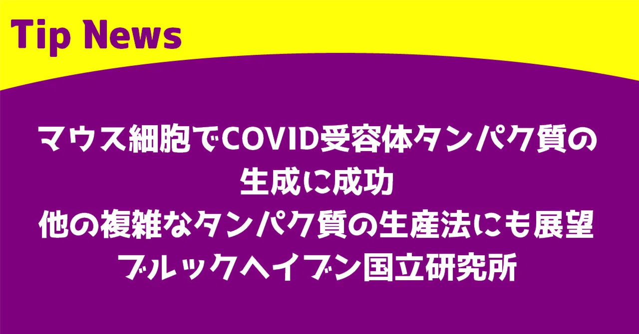 Successful Production of COVID Receptor Protein in Mouse Cells, Opening ...
