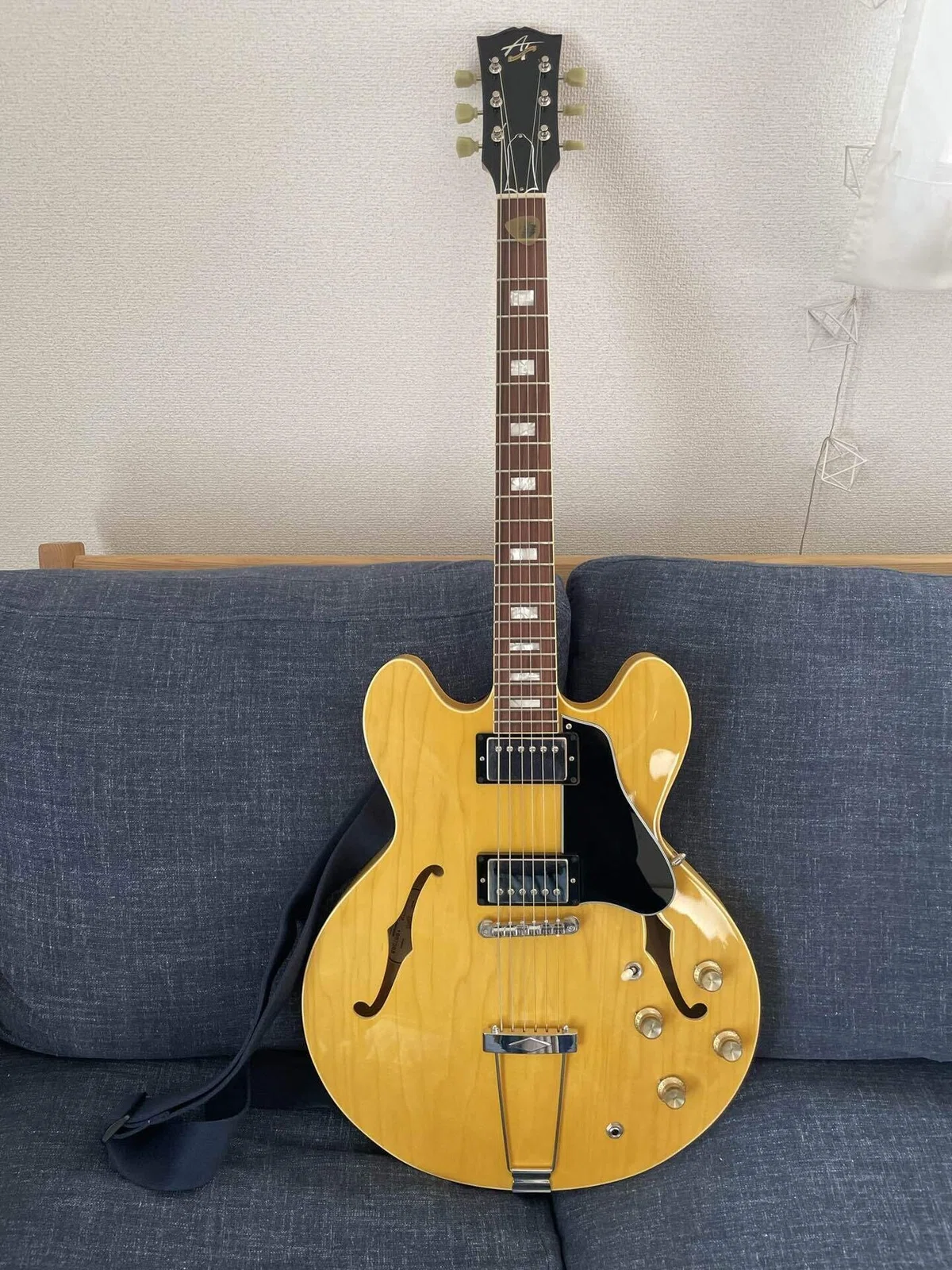 機材紹介：Archtop Tribute AT135TTP｜Hikosans