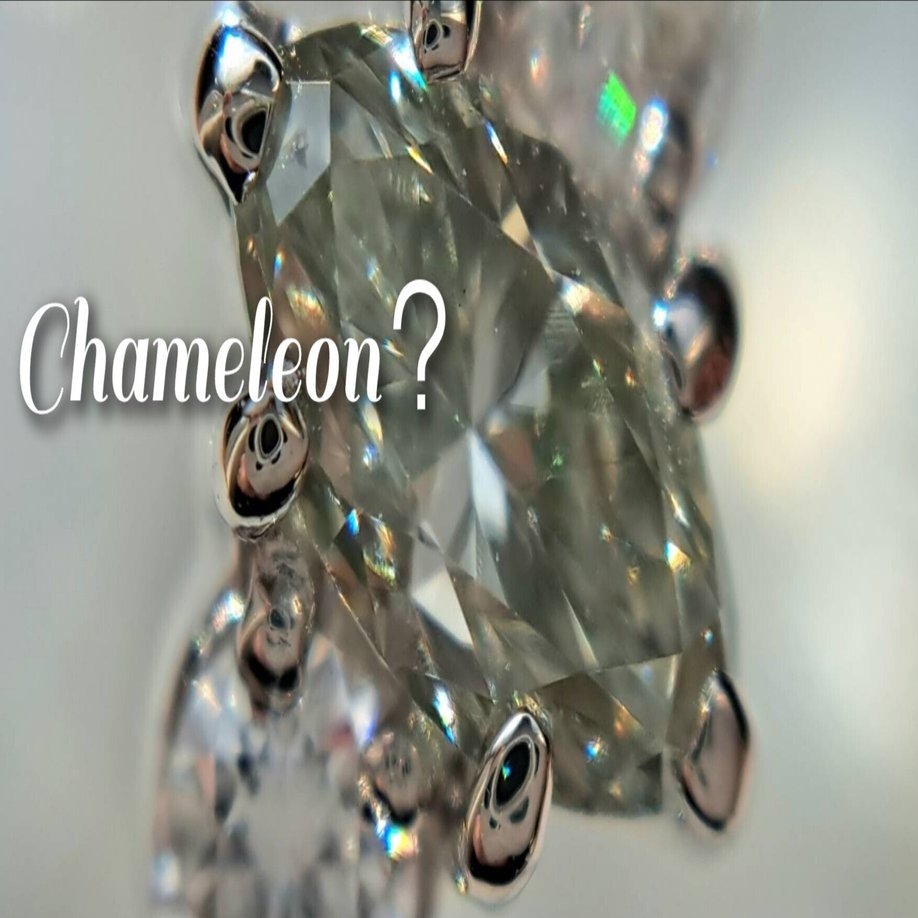 鑑別機関の見解の相違｜ユキ