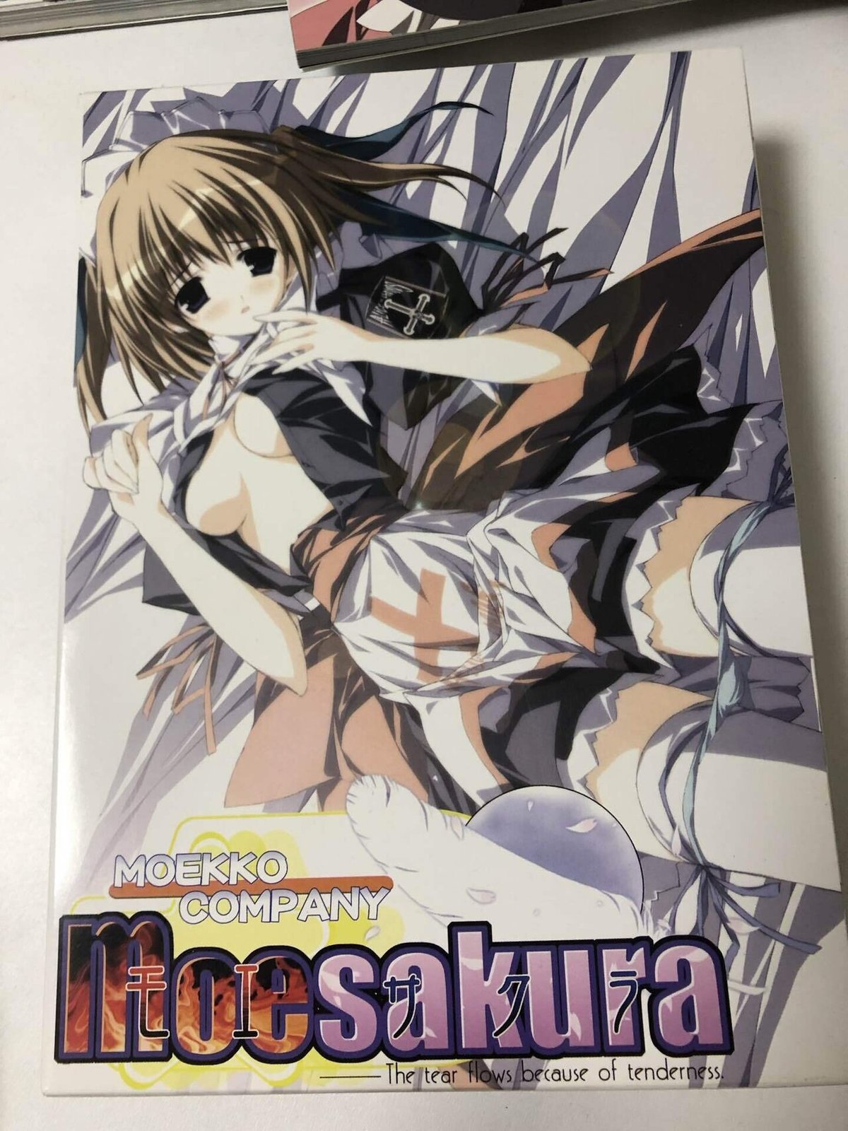 moekko.net　エロ ケロQ枕とかすかぢ先生関連の物を色々買ったので雑に紹介｜ahe_gaon