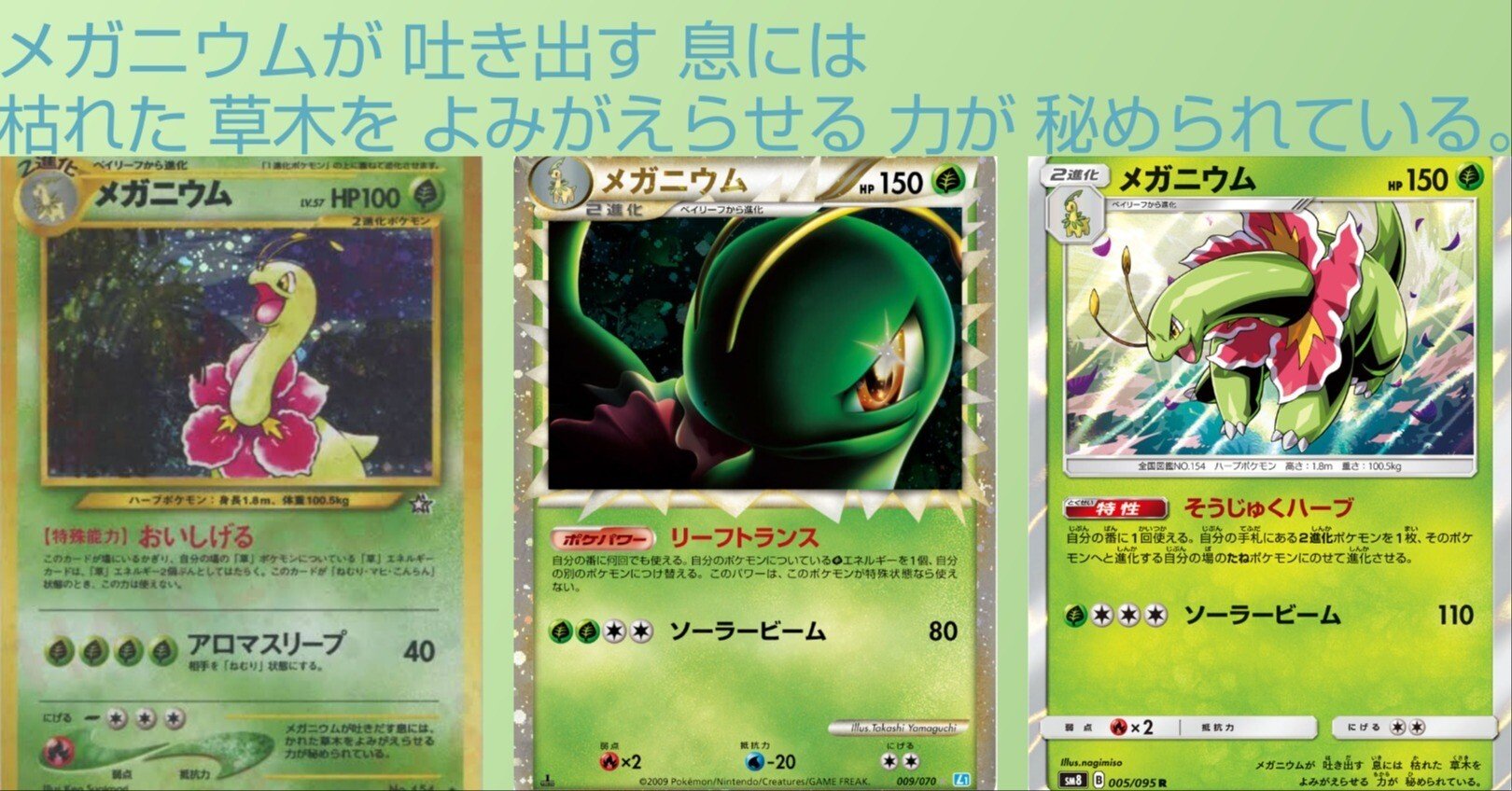 ポケカの歴代メガニウム｜リユルン