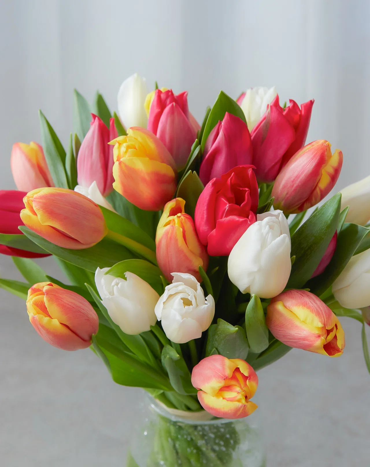 🌷花屋が教える、チューリップの咲き方の違い🌷｜D.STYLE
