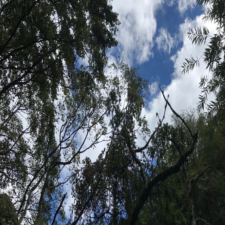 江戸和竿の経験 その6｜Ghana