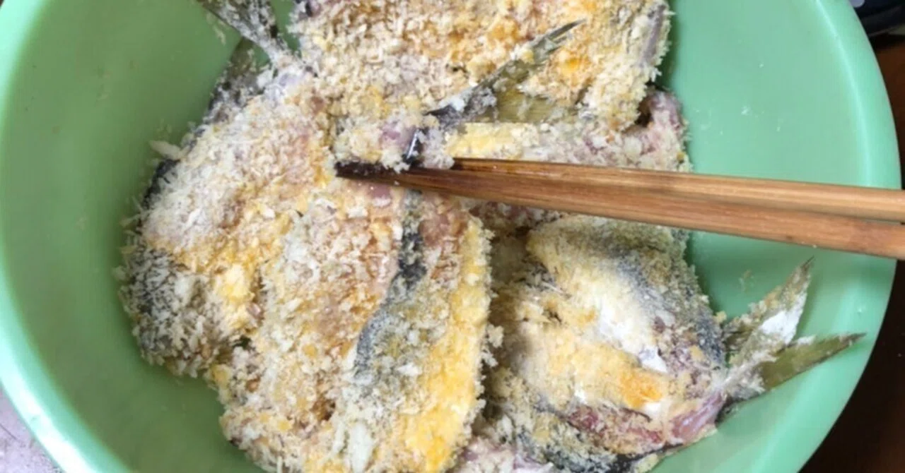 魚を捌ける無職｜夜の植物