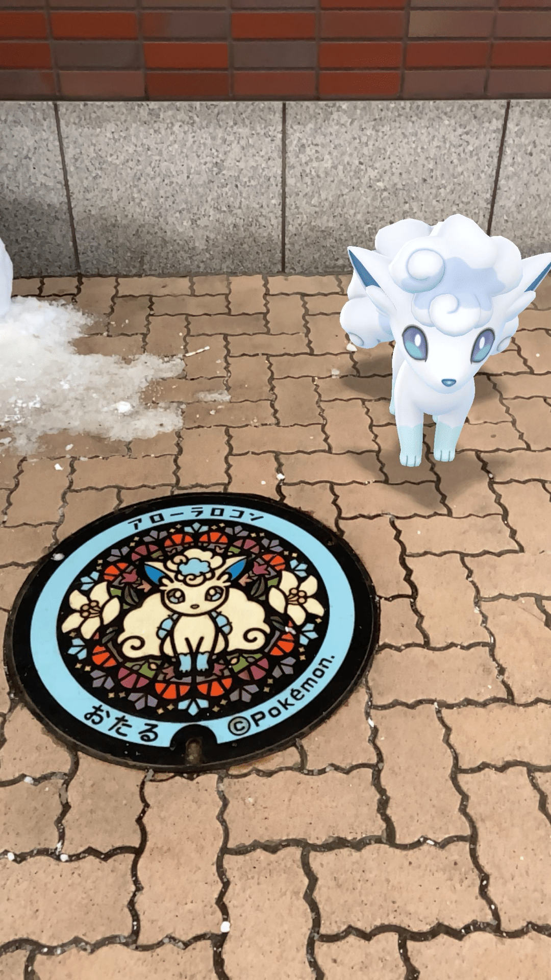 北海道、小樽のポケふた｜rinvichan