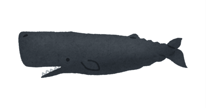 クジラの腸内で形成される結石