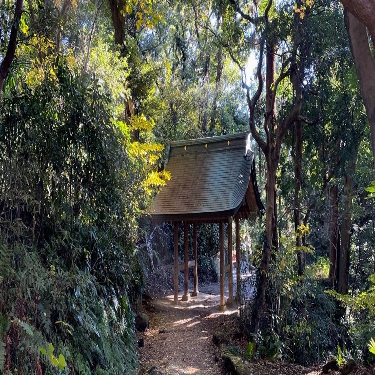 https://assets.st-note.com/production/uploads/images/128601737/rectangle_large_type_2_879ce86a02296fba3c6724a894a66dab.jpeg?fit=bounds&height=2000&quality=85&width=2000