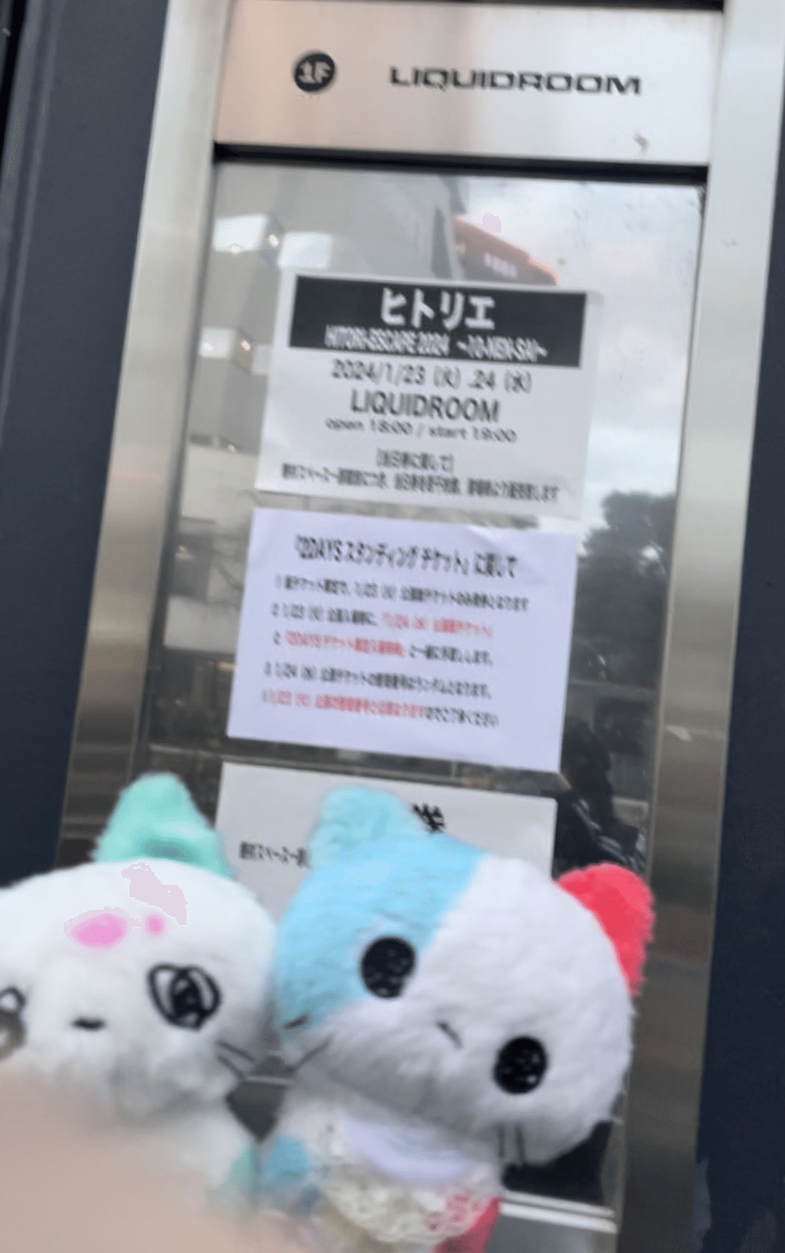 ヒトリエ　ファーマシー猫 ヒトリエ ファーマシー猫 商品詳細 | ARTIST DELI SHOPPING