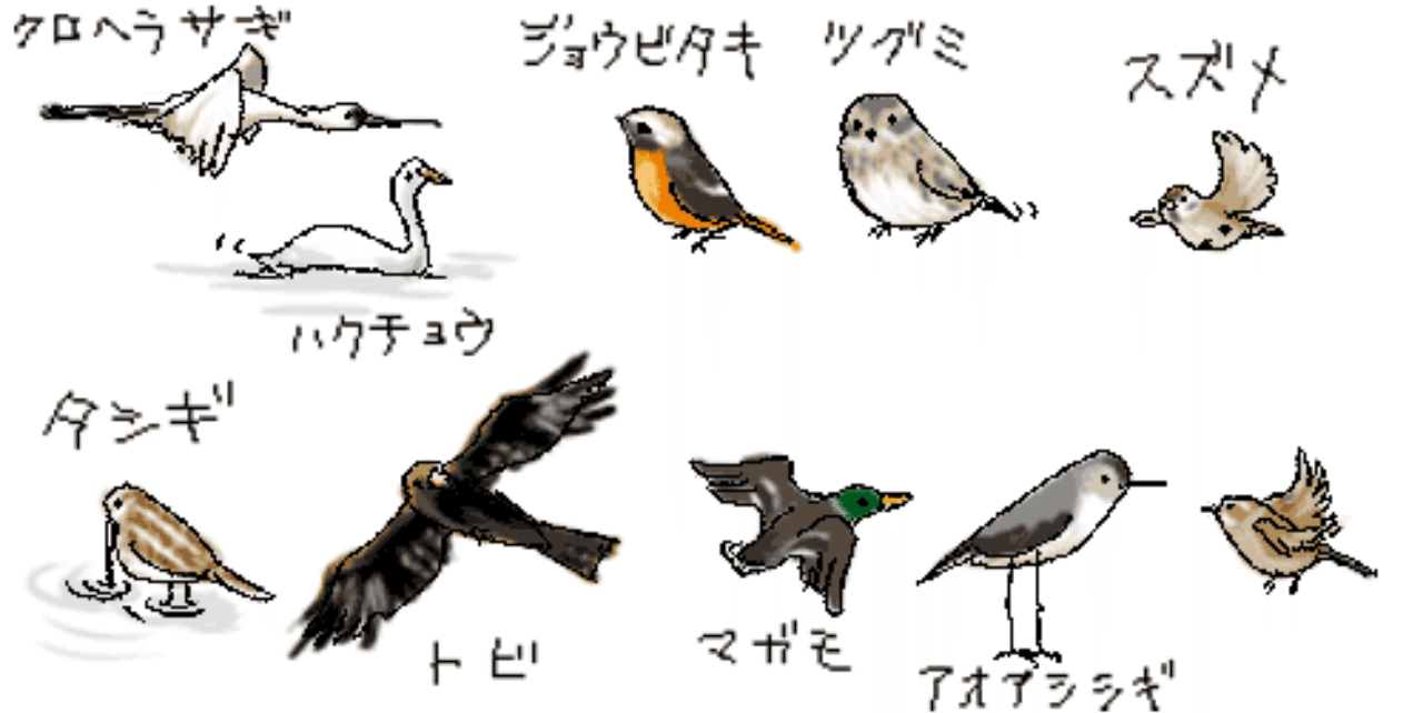 第370回 難しい漢字表記の野鳥 翆野 大地 Note 第370回 難しい漢字表記の野鳥 翆野 大地 Note