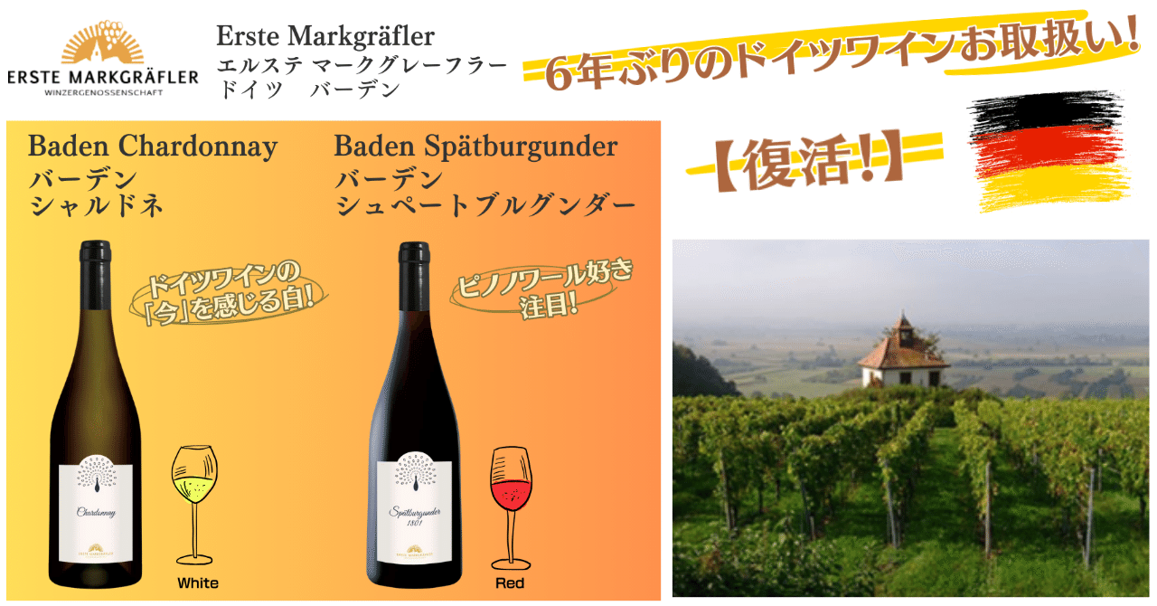 限定＆新入荷ワイン情報] Erste Markgräfler【ドイツ復活