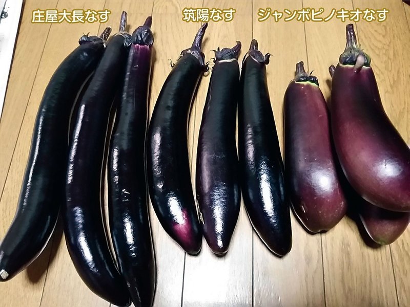 3種類の茄子を収穫しました スー Note