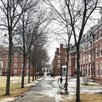 インターン体験談 お互いに学び合う環境がいいところ 早稲田大学 佐藤玲菜 Hlab Inc Note