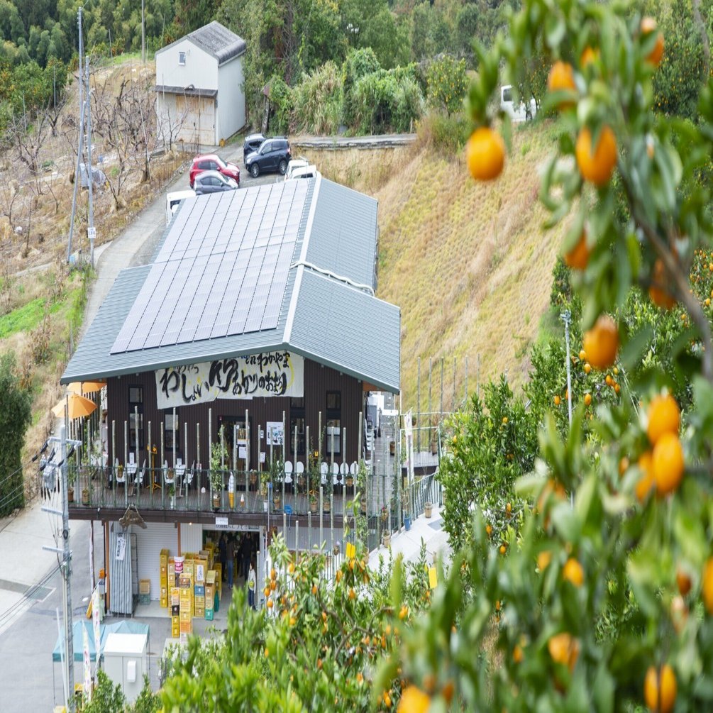 時代を先読みして観音山フルーツガーデンが展開する、高品質なフルーツ