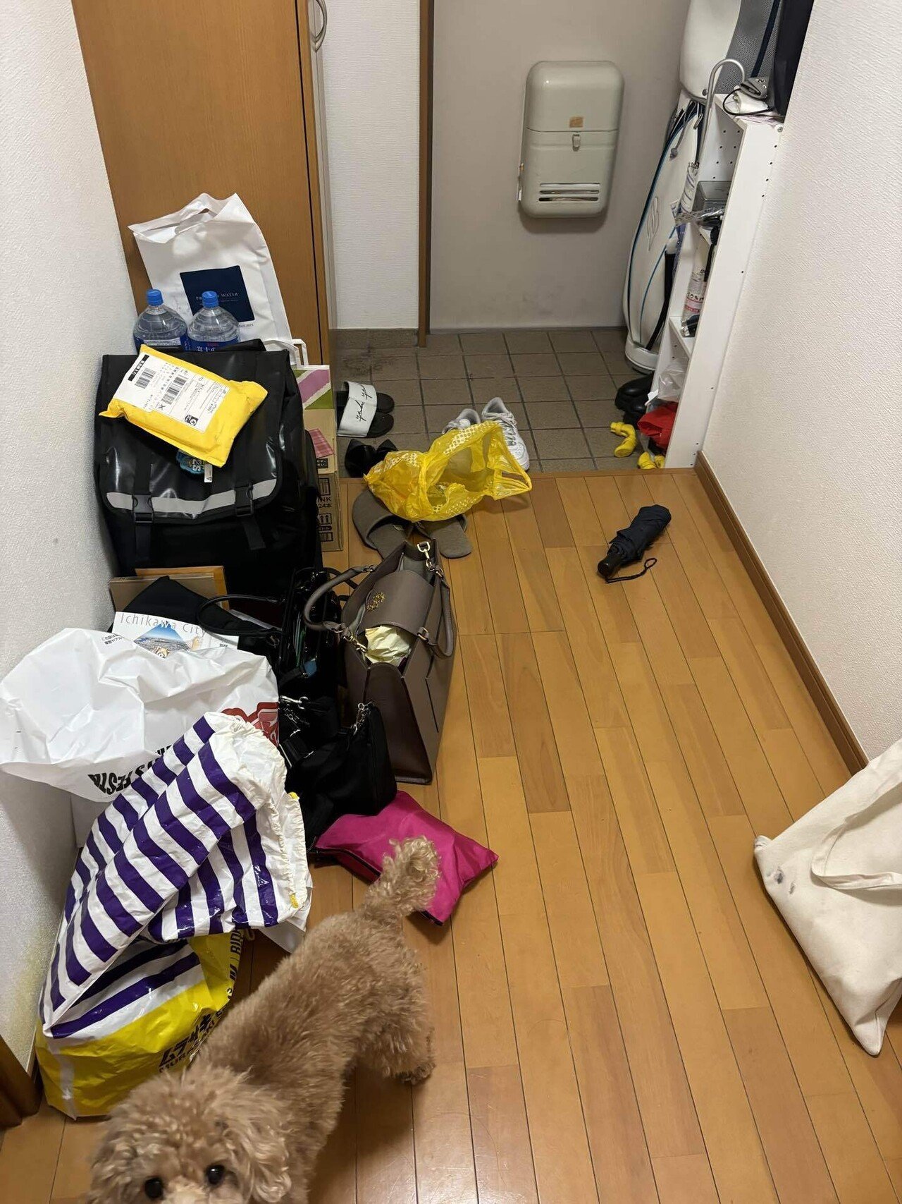 依存をなくすための断捨離（というか片付け）①｜akison