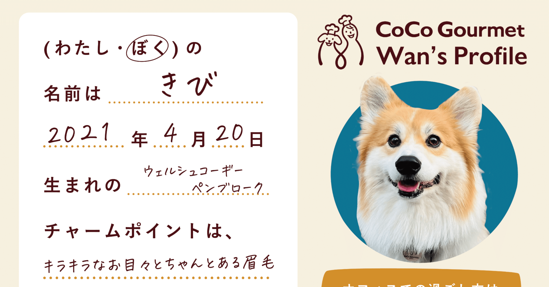 懐かしのプロフィール帳を社員犬で作ったらこうなりました｜愛犬愛猫の