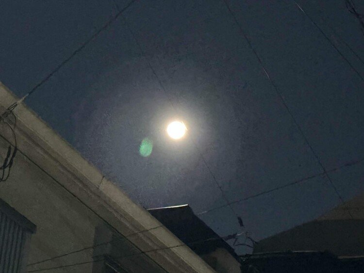 月齢13.6。夜には、どんどん満月に近づく。気温は低く、寒い。