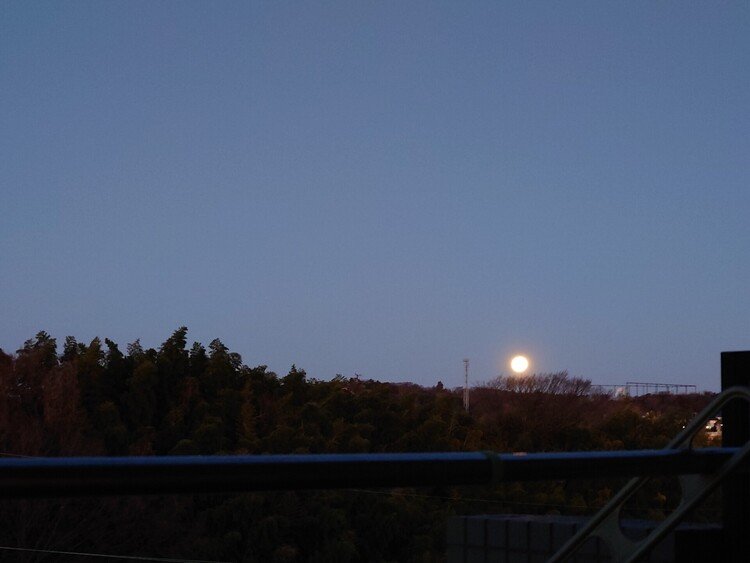 朝起きた時に見えた月。キーンと冷えた空に名残惜しそうに見えました。