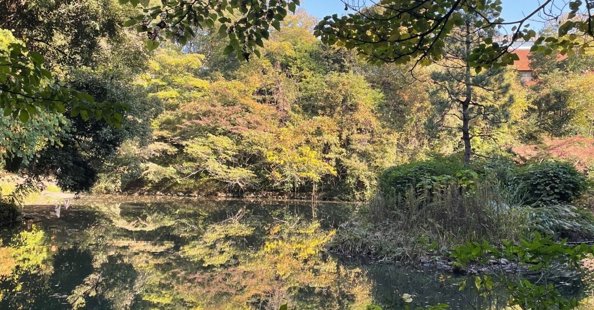 Amazon.co.jp: 東大入試プレ問題集地歴(日本史・世界史・地理