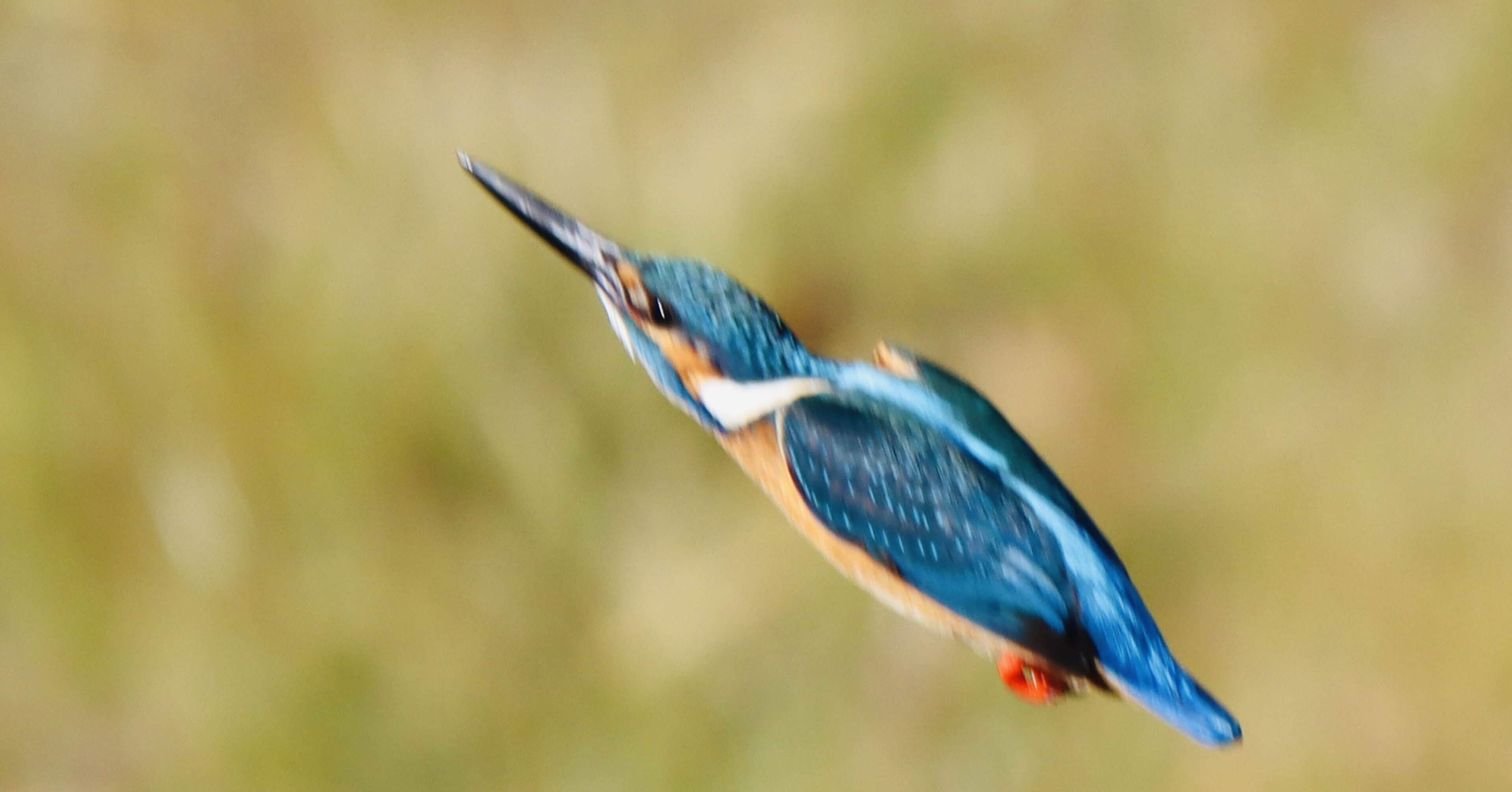 95ab52fc559a72214297d8ff3bc771