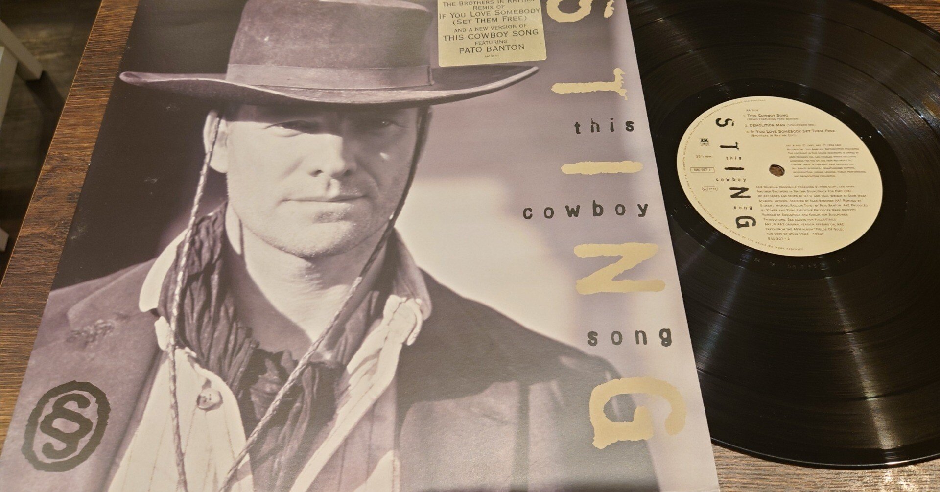 7インチ盤専門店雑記450「12インチ・シングルの愉悦：Sting」｜G2