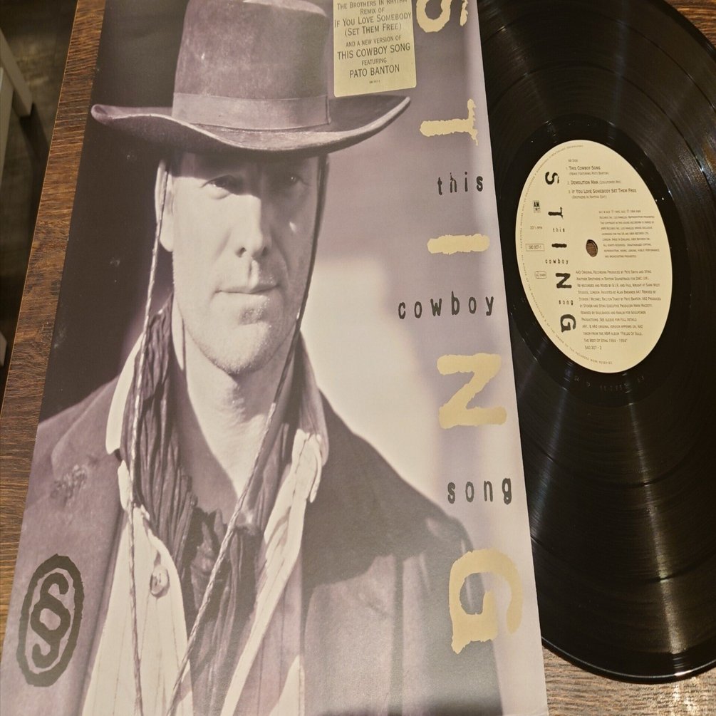 7インチ盤専門店雑記450「12インチ・シングルの愉悦：Sting」｜G2