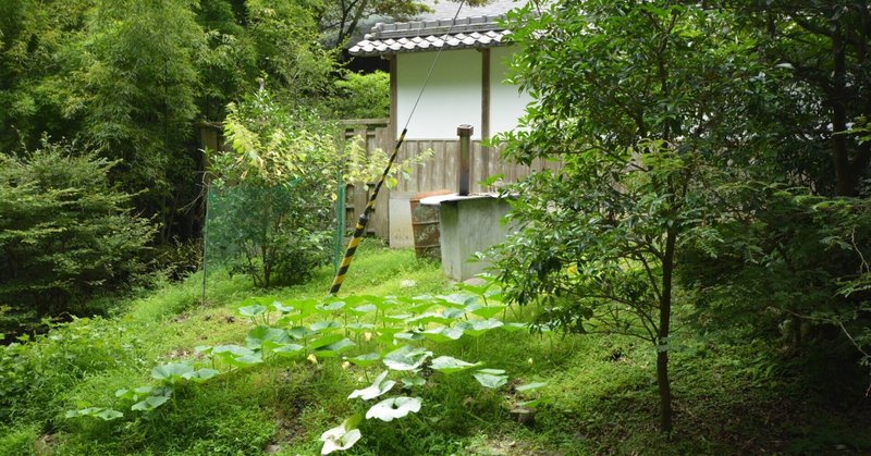 国立西洋美術館「キュビズム展」