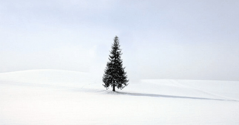 1/26|河田という女