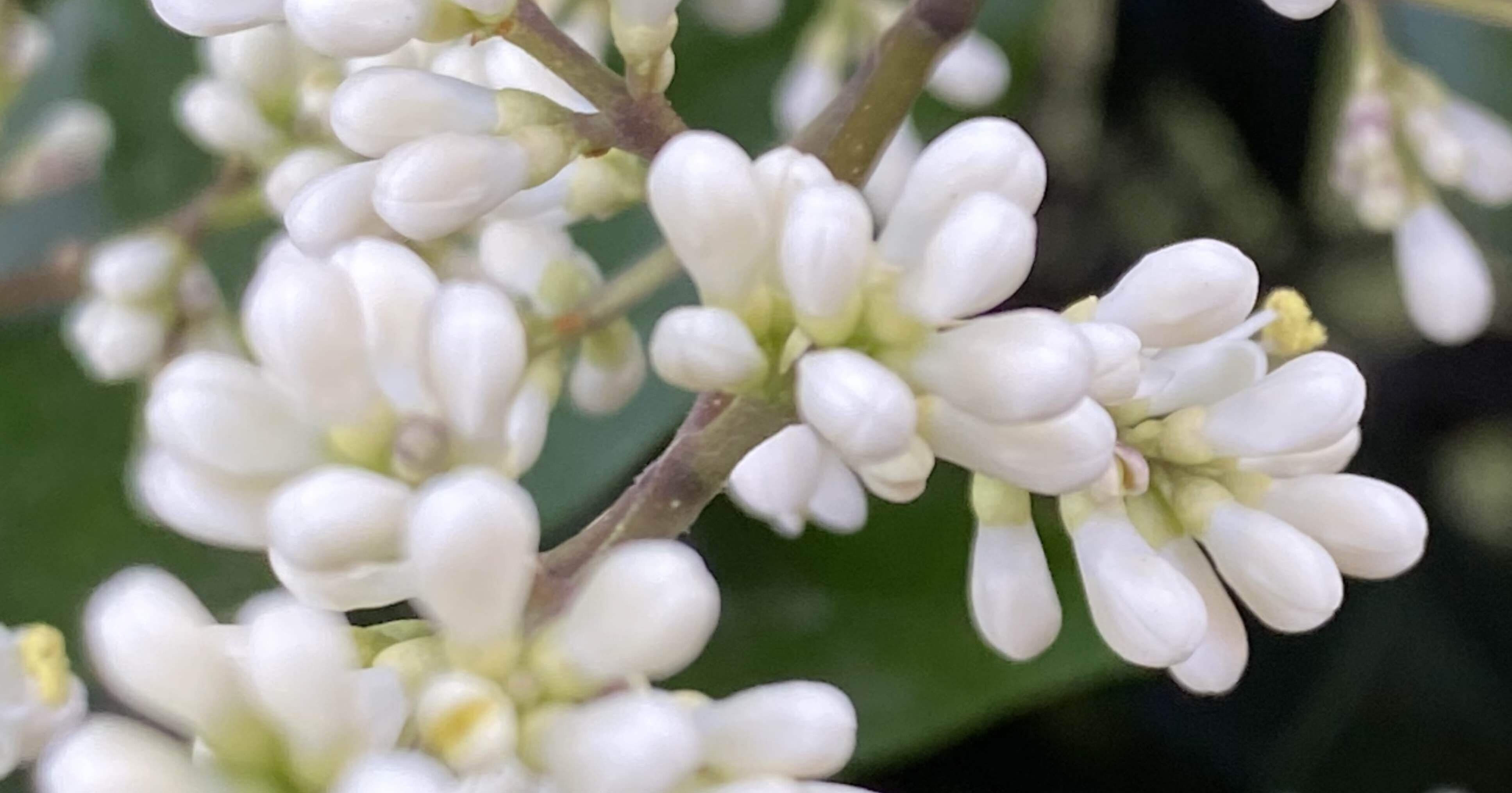 12effed9fa783efd2615d5913c549c