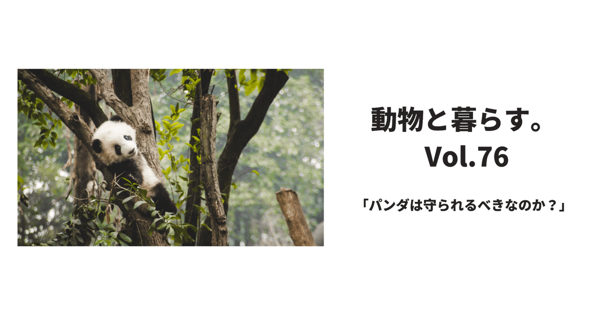 動物と暮らす。Vol.76 パンダは守られるべきなのか