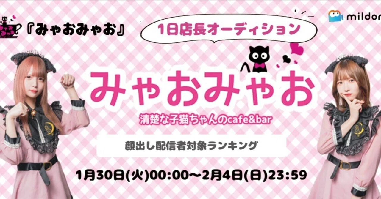 子猫がテーマのコンセプトカフェ「みゃおみゃお」1日店長