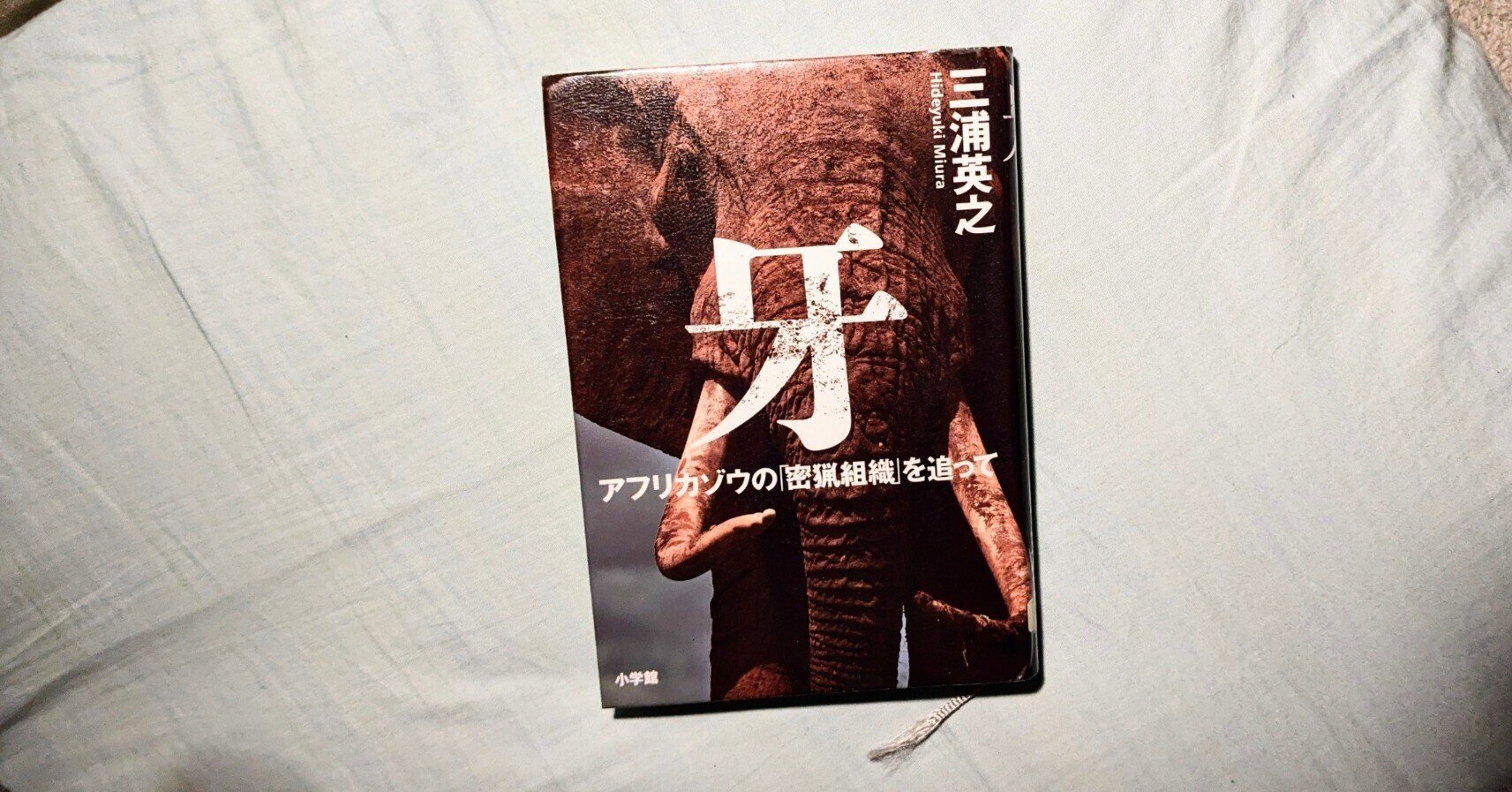 竜K101◆作家物 一舟銘 本象牙 アフリカゾウ 一本物 細密彫刻 鯉彫 置物 全長86.3cm 約4.2kg 登録票 （登録記号番号 第190-001916）