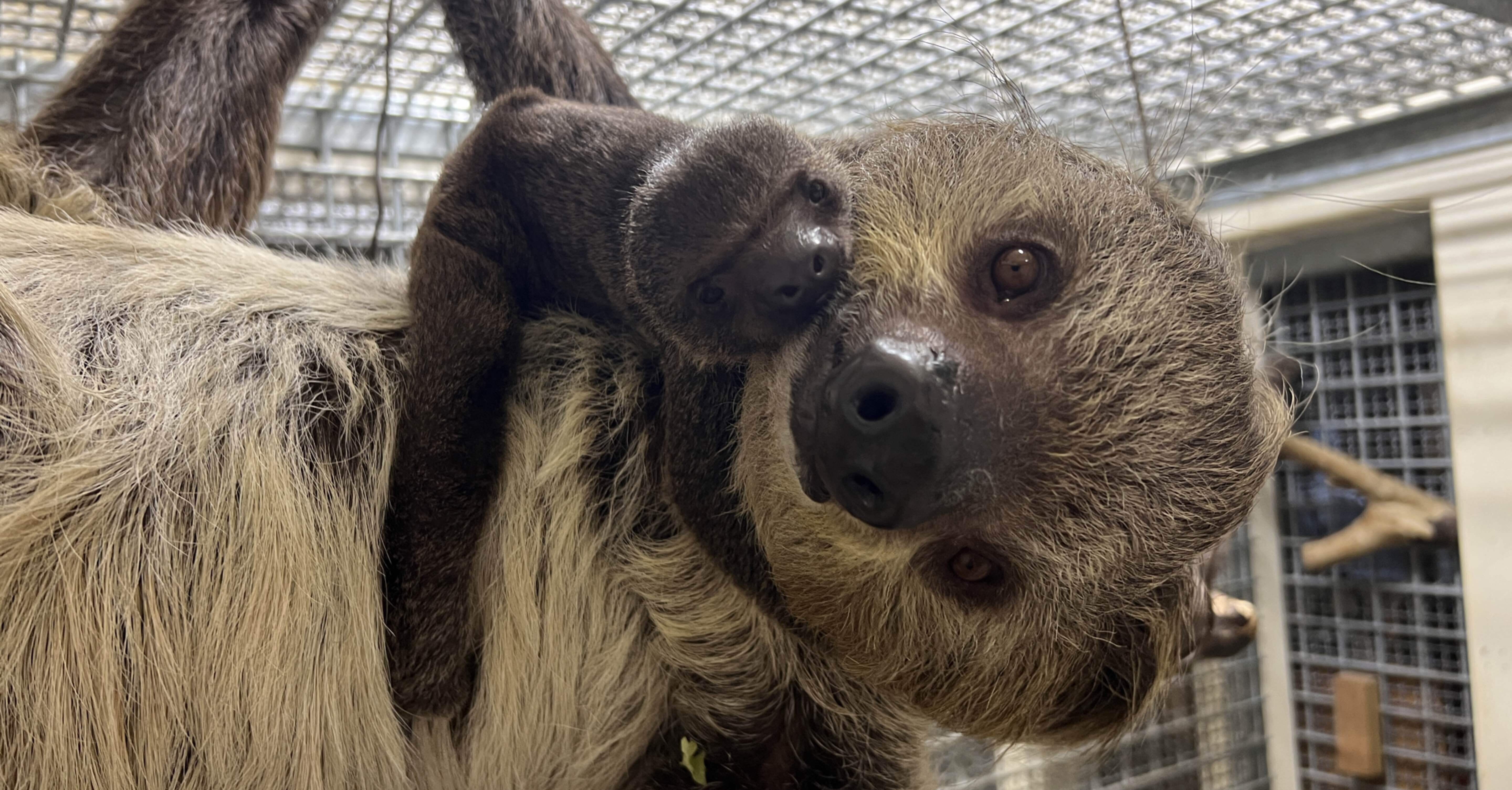 330afbdab047c8a093f90e6f9a5ea3