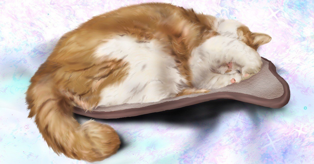 お昼寝🐈｜ෆもふෆ