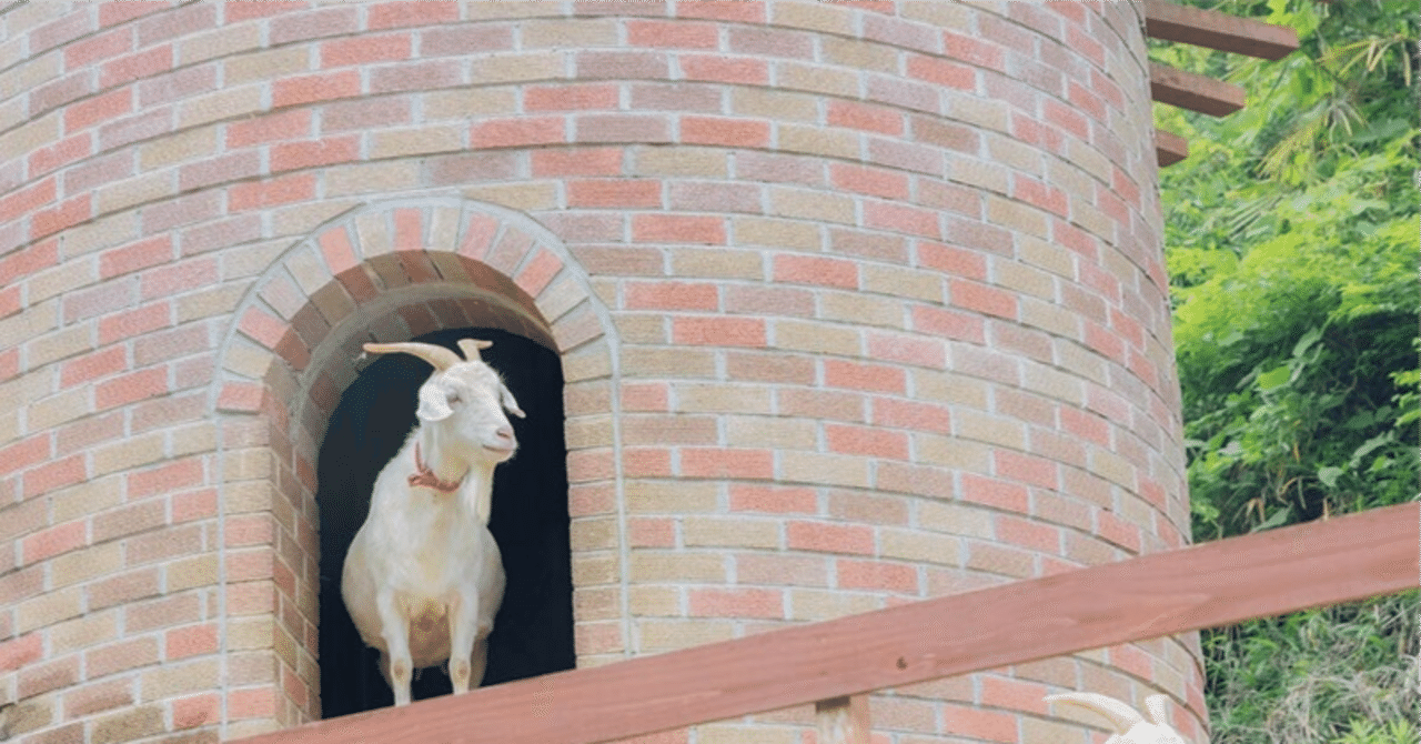 崖登る山羊って私のこと？｜“ママと家族の星のおはなし” 魔女猫アオ