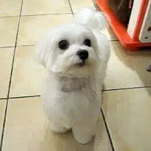 自分軸でラクに生きる、なかじまみき