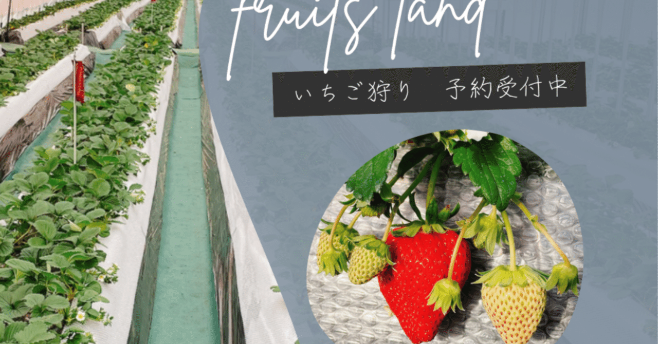 旬なフルーツを味わおう！観光農園「フルーツランドきまがせ」いちご