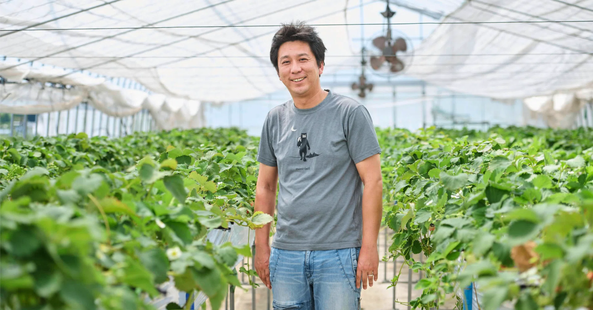 雄大な北アルプスのふもと。一人ひとりの情熱と探究心が甘い夏いちごを