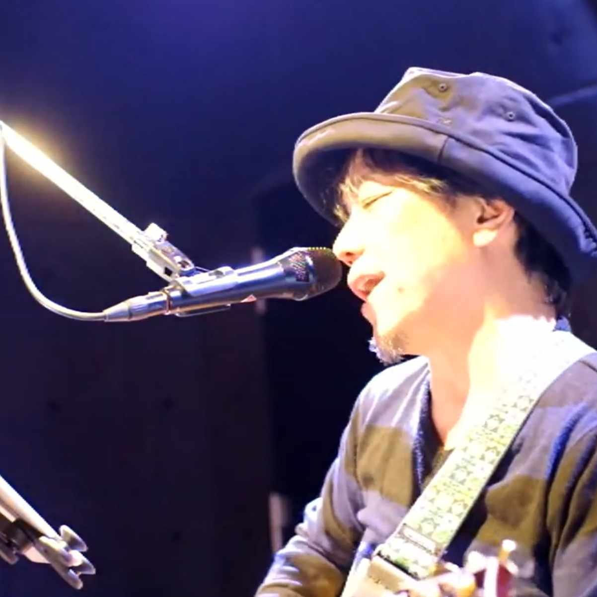 土曜日の猫通信