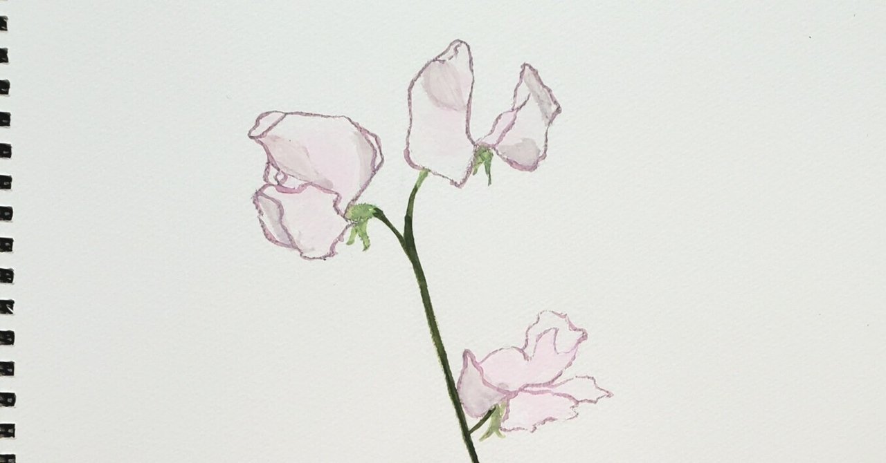 今月の花水彩画】2024年1月:スイートピー｜あっちこっちよしこ。
