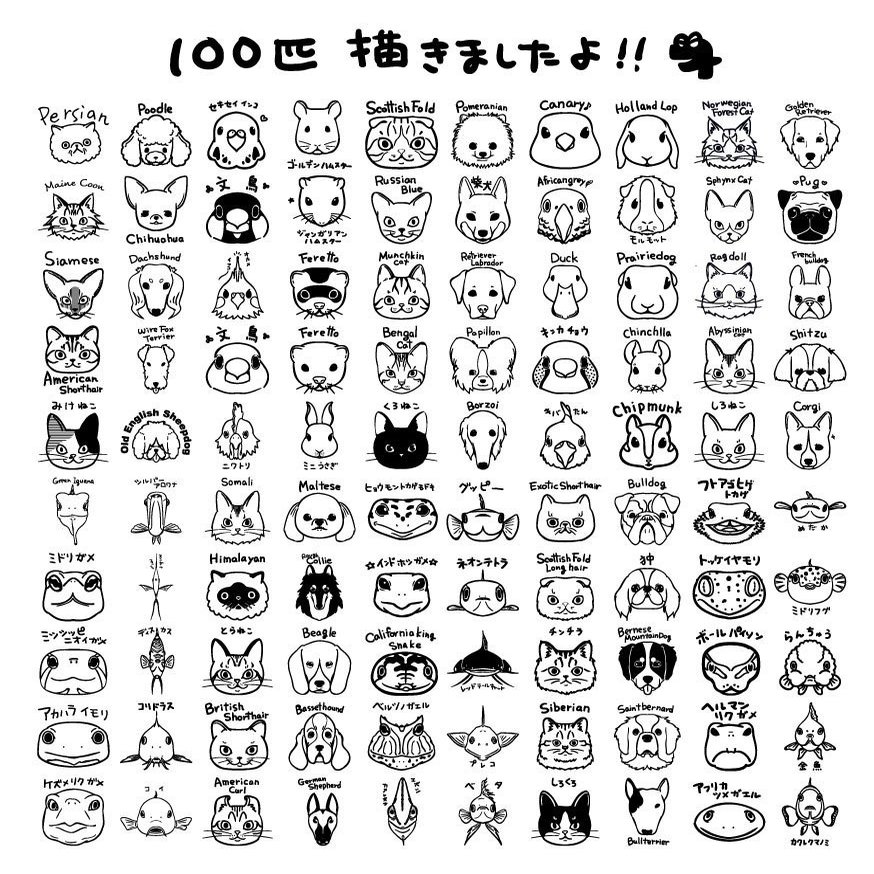 イチハラ生活 インスタグラムもある イチハラ F Soul Note