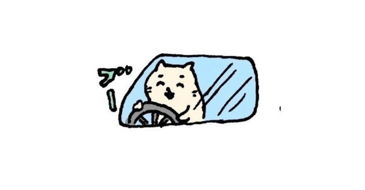 話題の、車酔いに効果のあるメガネSEETROEN（シートロエン）を注文した