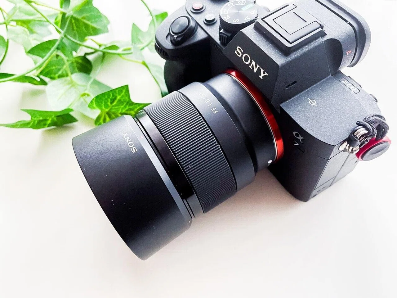 五郎丸】SONY FE 50mm F1.8 交換レンズ レンタル - SONY(ソニー