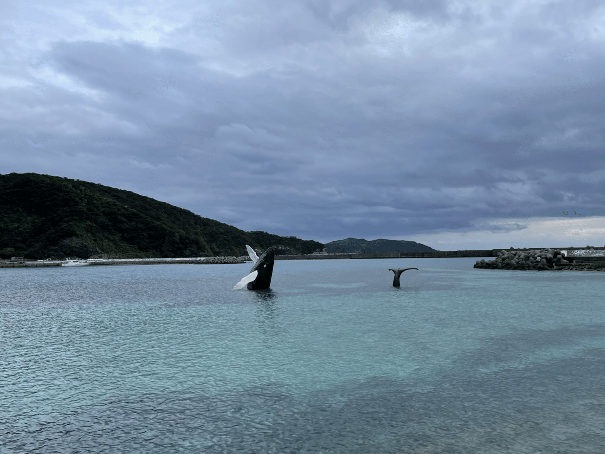 座間味でクジラを見る｜天野夏海