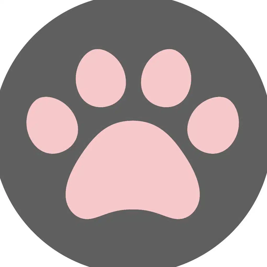 青崎衣里